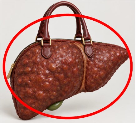 Mais qu’est-ce qu’il y a dans ce sac ? 